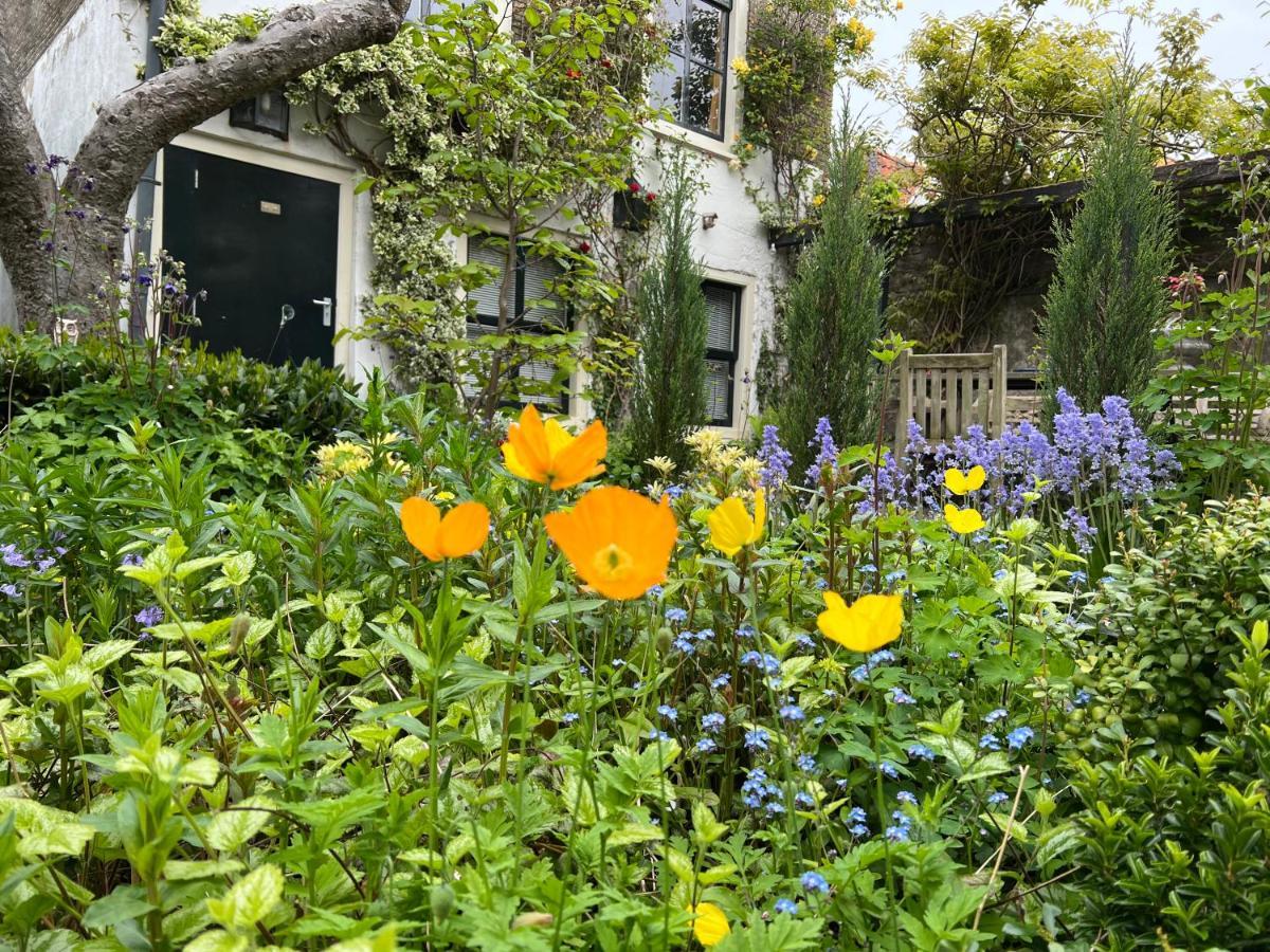 Apple Tree Cottage - Charming Home At Beautiful Canal In Our Idyllic Garden Гауда Екстер'єр фото