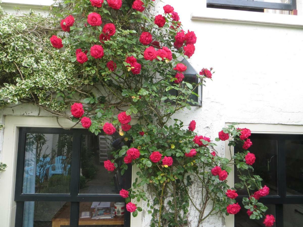 Apple Tree Cottage - Charming Home At Beautiful Canal In Our Idyllic Garden Гауда Екстер'єр фото